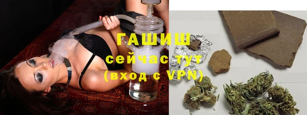трава Инта