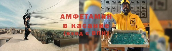 трава Инта