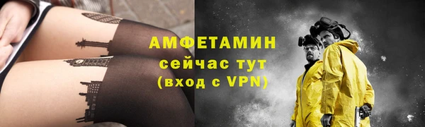 трава Инта