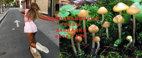 СК Иннополис
