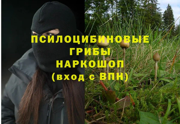 СК Иннополис
