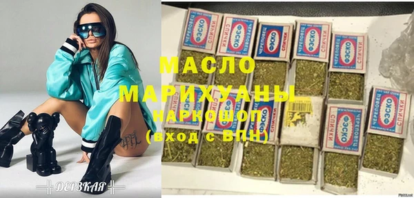 стаф Каменка