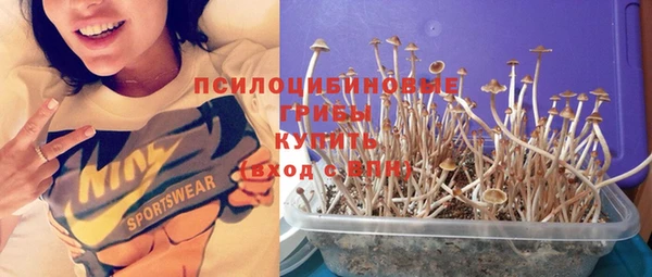 трава Инта