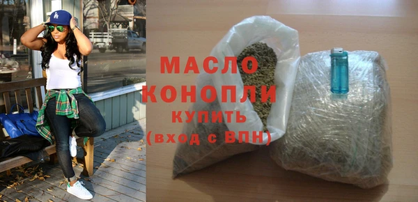 стаф Каменка