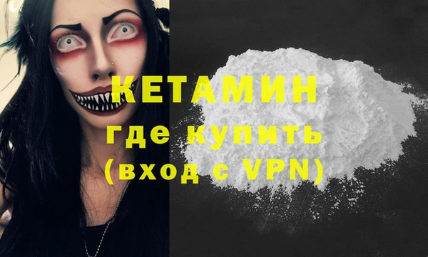 стаф Каменка