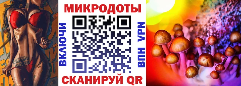 Галлюциногенные грибы Psilocybe  Купить  Инта 